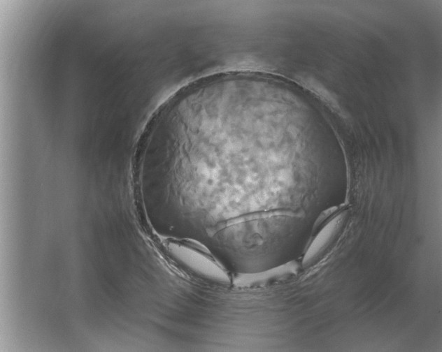 X0000062621264200512281520