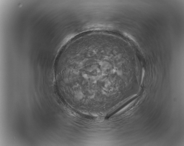 X0000062621267200512281520