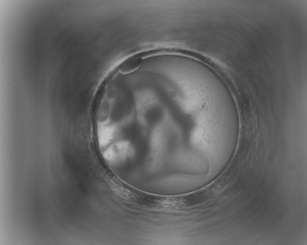 X0000062621271200512281520