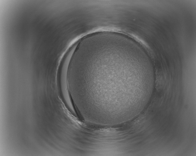 X0000062621272200512281520