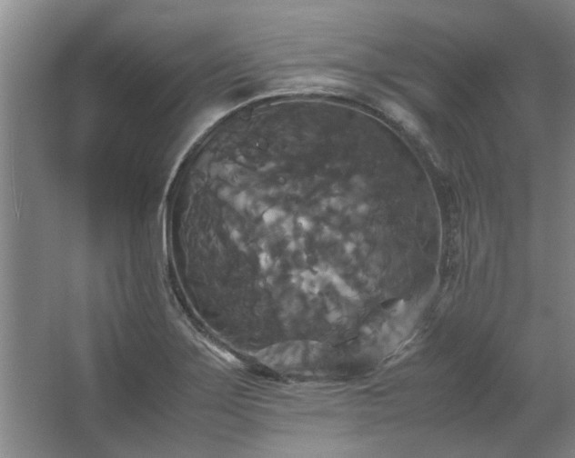 X0000062621275200512281520