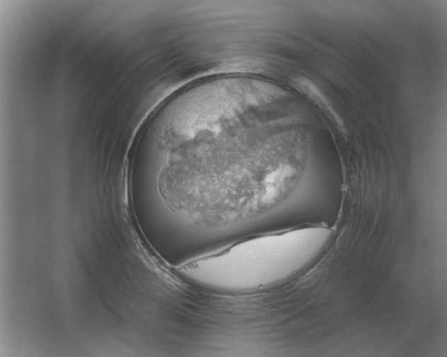 X0000062621276200512281520