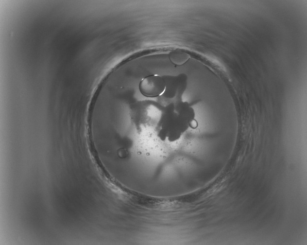 X0000062621279200512281520