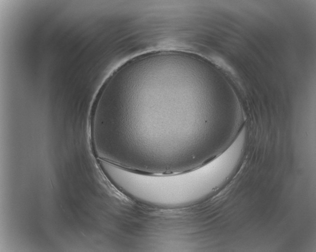 X0000062621280200512281520