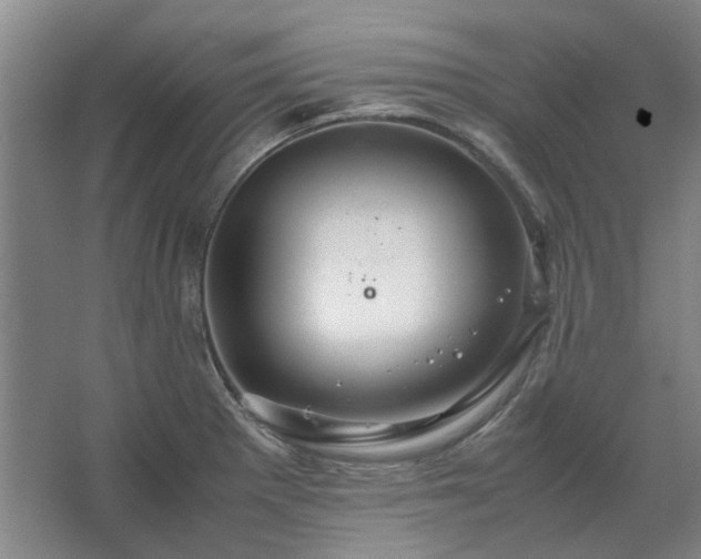 X0000062621281200512281520