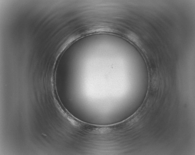 X0000062621282200512281520