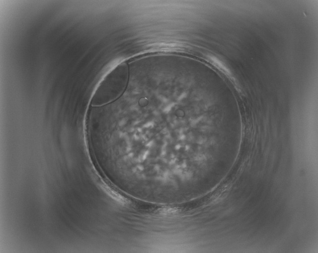 X0000062621283200512281520