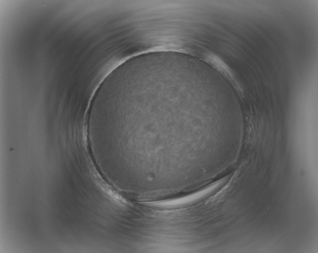 X0000062621284200512281520