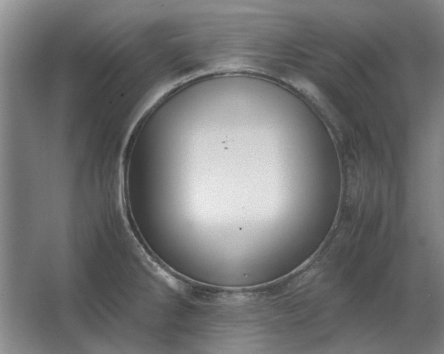 X0000062621286200512281520