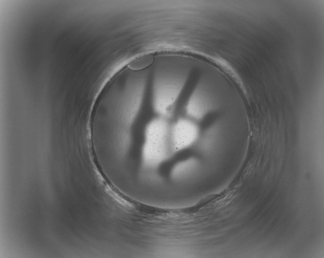 X0000062621287200512281520