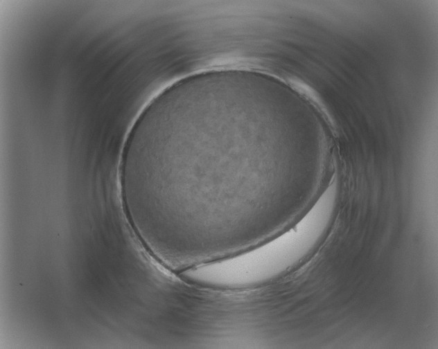 X0000062621288200512281520