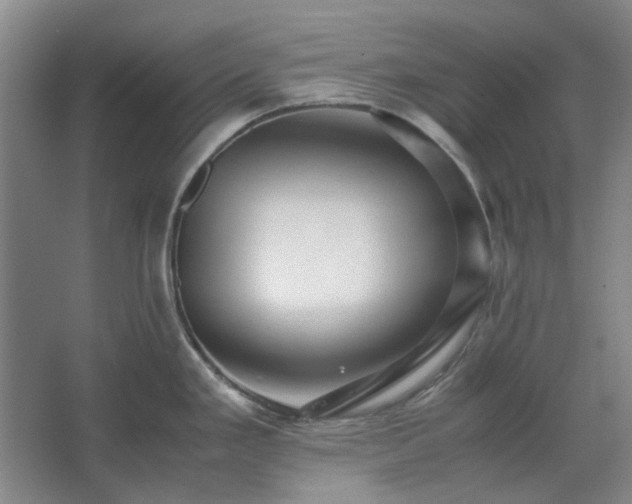 X0000062621293200512281520