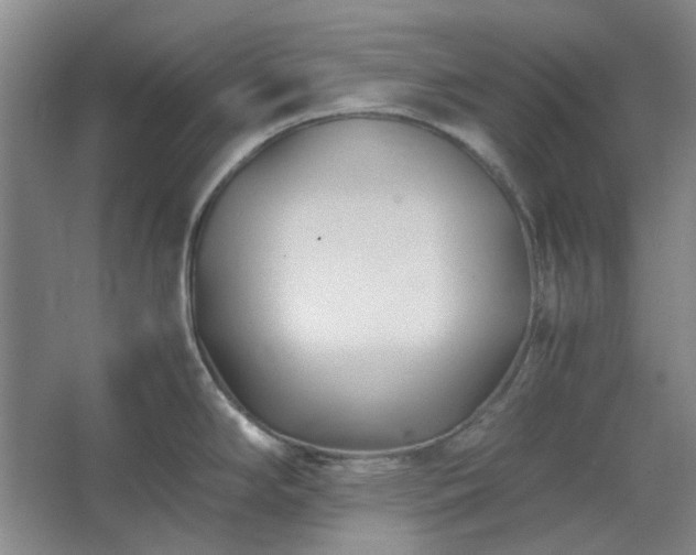 X0000062621294200512281520