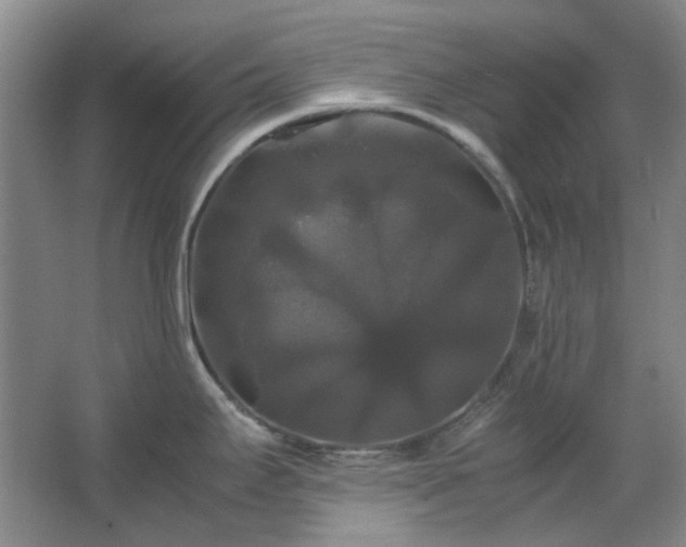 X0000062621295200512281520