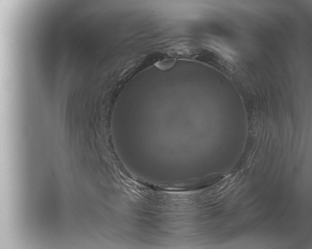 X0000062621297200512281519