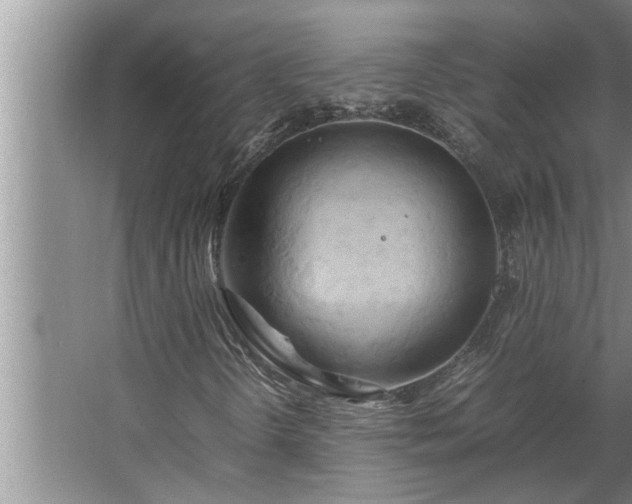 X0000062621298200512281519