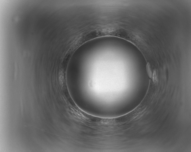 X0000062621299200512281519