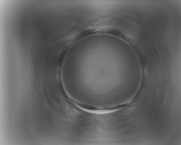 X0000062621300200512281519