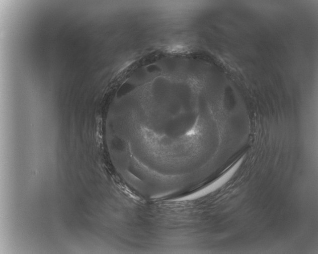 X0000062621301200512281519