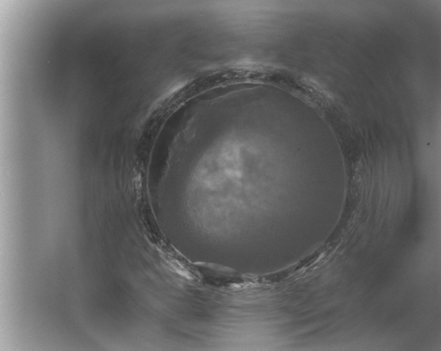 X0000062621302200512281519