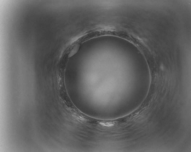 X0000062621303200512281519