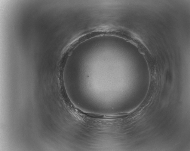 X0000062621304200512281519