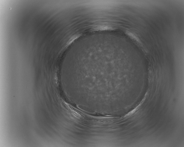 X0000062621305200512281519