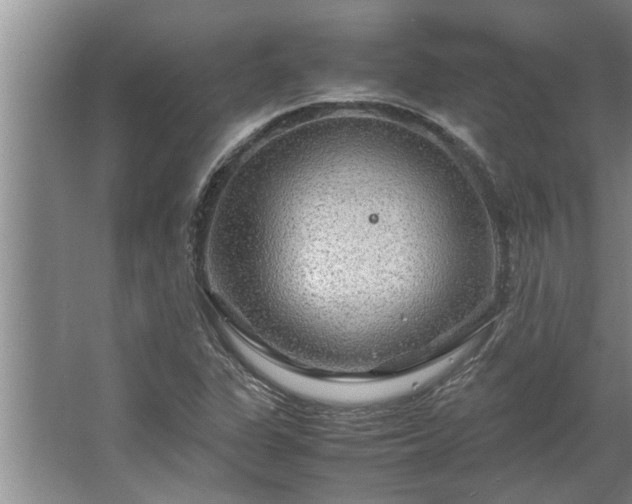 X0000062621311200512281519