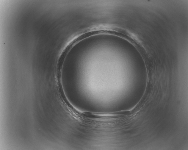 X0000062621312200512281519