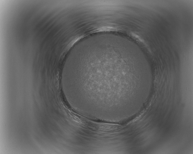 X0000062621313200512281519