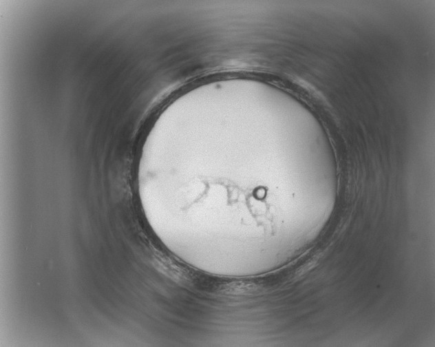 X0000062621314200512281519