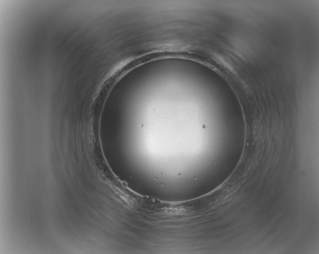 X0000062621315200512281519