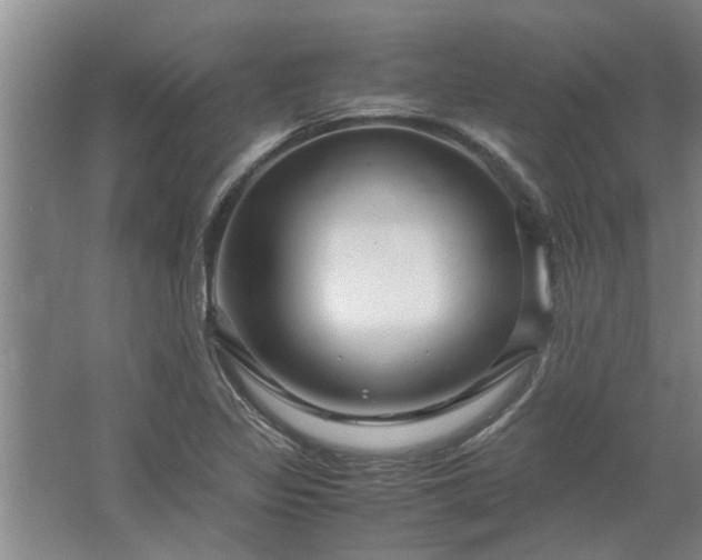 X0000062621317200512281519