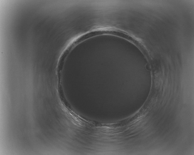 X0000062621319200512281519