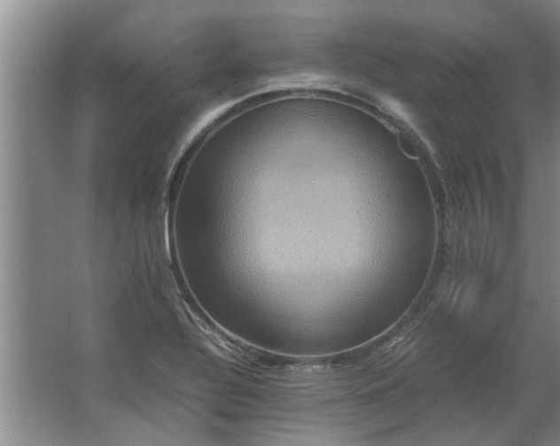 X0000062621320200512281519