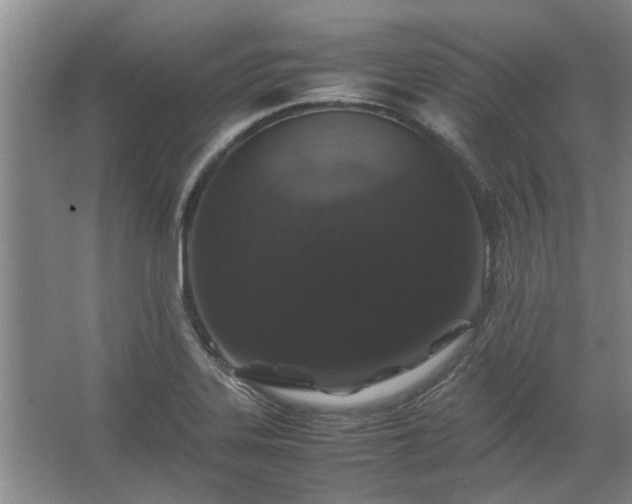 X0000062621323200512281519