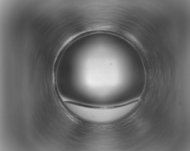 X0000062621324200512281519