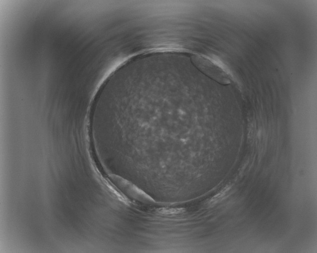 X0000062621325200512281519