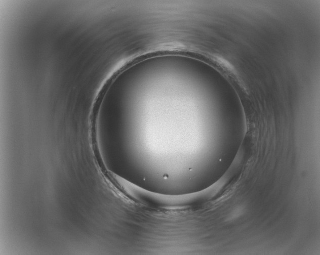 X0000062621326200512281519