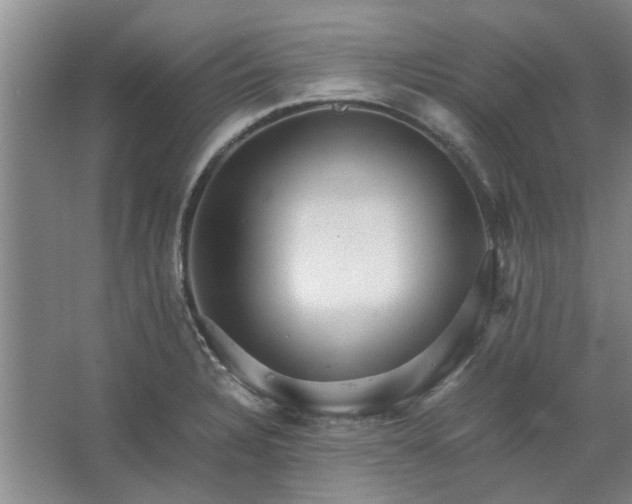 X0000062621328200512281519