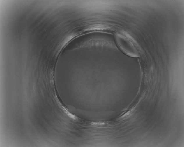 X0000062621329200512281519