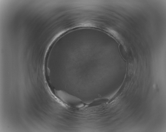 X0000062621331200512281519