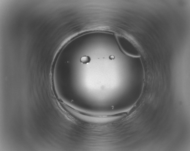 X0000062621332200512281519