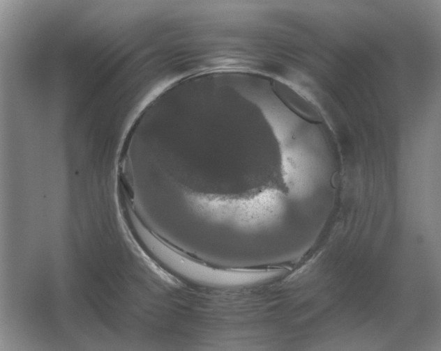 X0000062621333200512281519