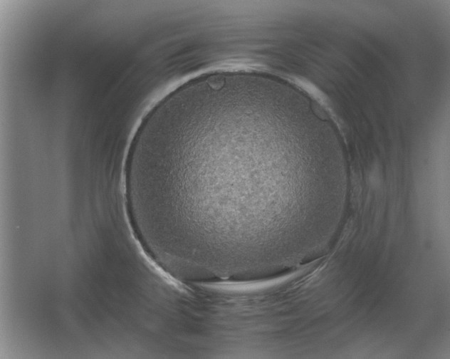 X0000062621335200512281519