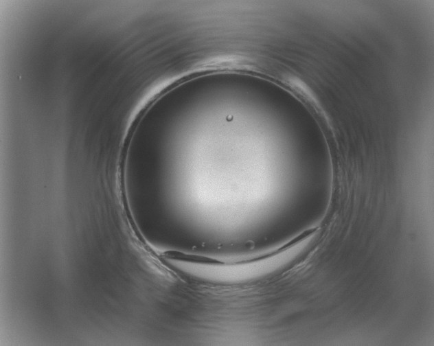 X0000062621336200512281519