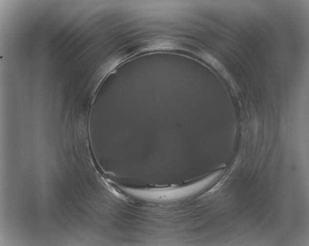 X0000062621337200512281519