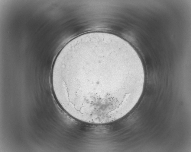 X0000062621338200512281519