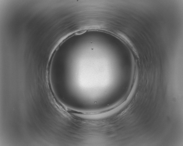 X0000062621340200512281519