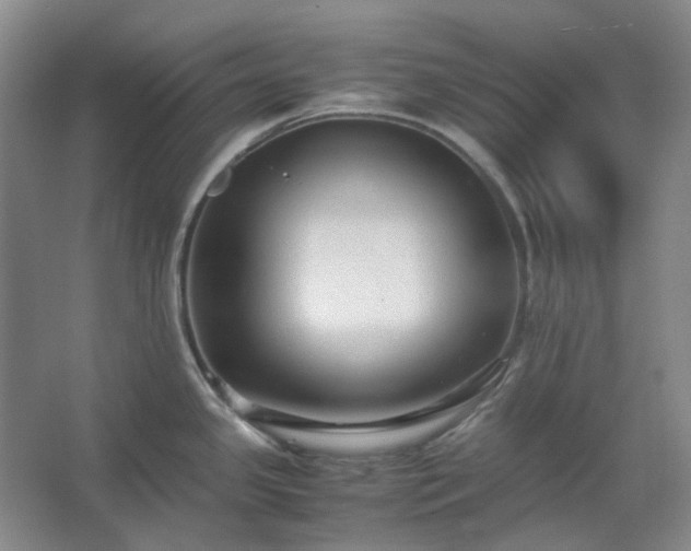 X0000062621341200512281519